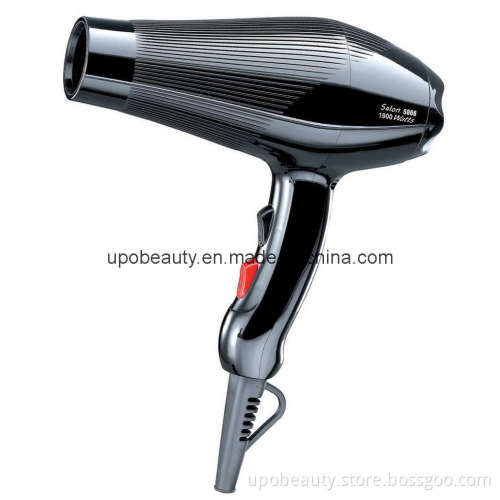 Professional Hair Dryer (5866)